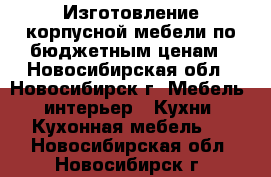 Изготовление корпусной мебели по бюджетным ценам - Новосибирская обл., Новосибирск г. Мебель, интерьер » Кухни. Кухонная мебель   . Новосибирская обл.,Новосибирск г.